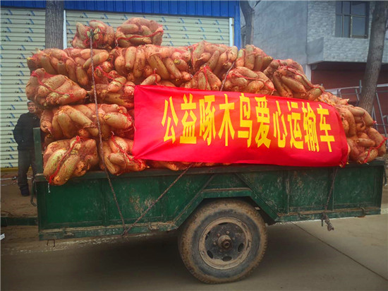 ＂愛心蘿卜＂來了！