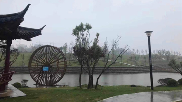 周口：春節(jié)，來這些游園嗨皮吧