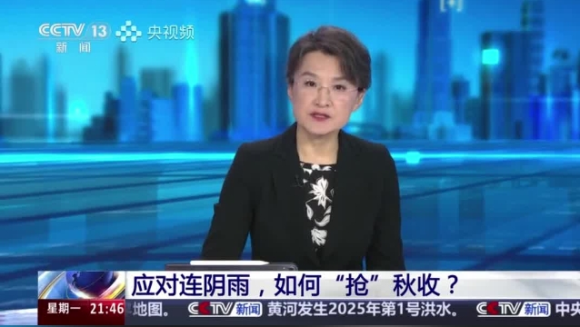 【主流媒體看周口】面對連陰雨 如何“搶”秋收？