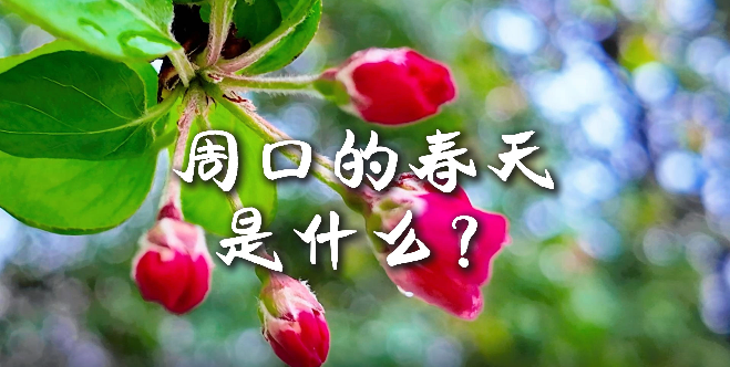 周口的春天，待你慢慢遇見